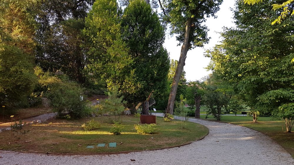 Orto Botanico Di Lucca Piante Di Tutto Il Mondo In Angolo Speciale